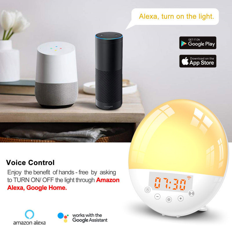 Voice Control Wake-up Light Alarm Clock