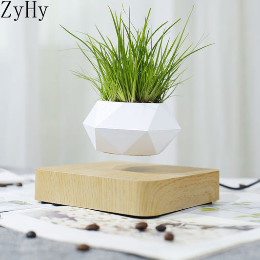 Levitating Floating Flower Pot